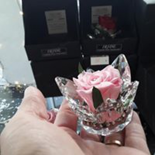 Rose rose pâle eternelle sur un cristal swarowsky 