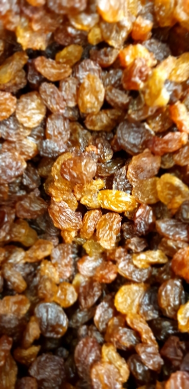 Raisins secs BIO